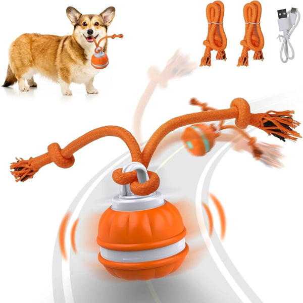 Pet Ball For Interactive , USB Rechargeable