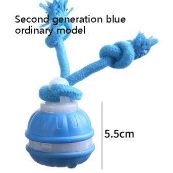 Pet Ball For Interactive , USB Rechargeable