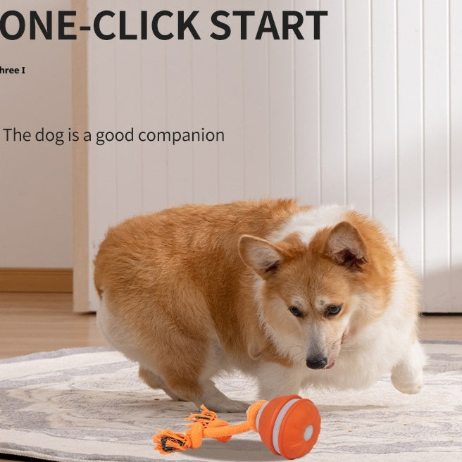 Pet Ball For Interactive , USB Rechargeable
