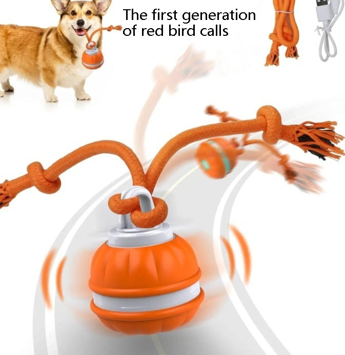 Pet Ball For Interactive , USB Rechargeable